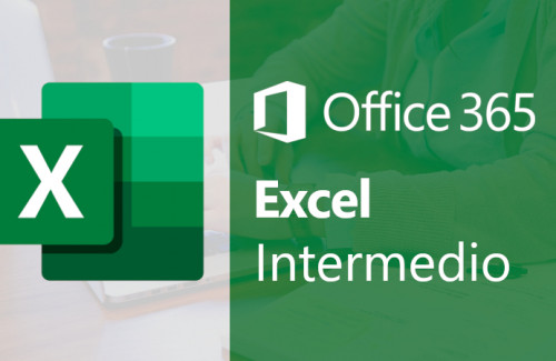 Microsoft Excel 365 nivel intermedio